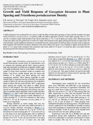 Pdf - Folio Twelve From Burchard Of Sion's De Locis Ac Mirabilibus #9048263