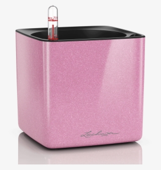 Lechuza Planter Cube Glossy - Lechuza Planter Cube Glossy 14 #9048468