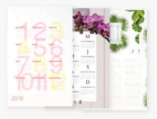 Pantone Home - Moth Orchid #9048543