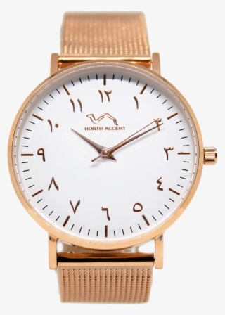 Rose Gold Stainless Steel - Watch #9051602
