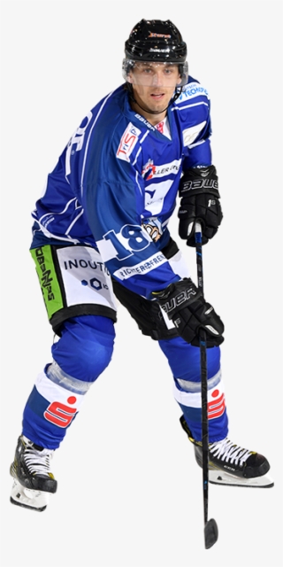 Nächster Artikel » - Straubing Tigers #9053637