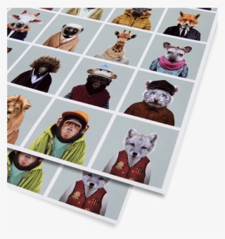Zoo Portraits Gift Wrap - Picture Frame #9053900