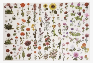 Picture Of Flower Paper - Motif #9053936