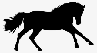 Pferd Silhouette - Mane #9054009