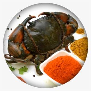 Crabs - Smoked Paprika #9056062