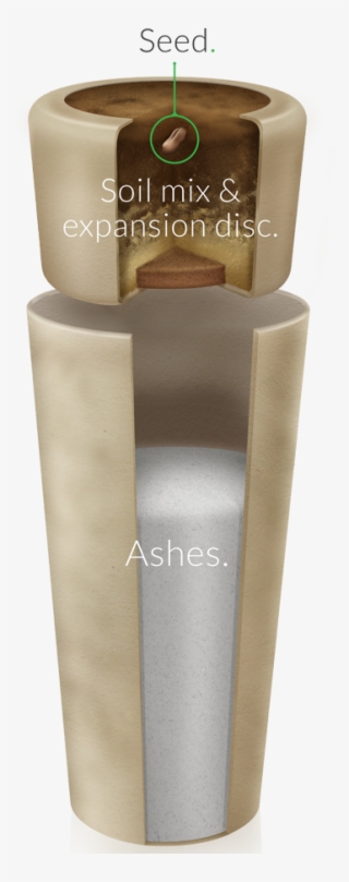 Inside The Urn - Bios Urn #9056482