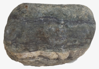 Grey Striped Urn Stone - Boulder #9056489