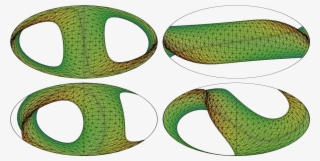 Hammer Projection - Snake #9057029