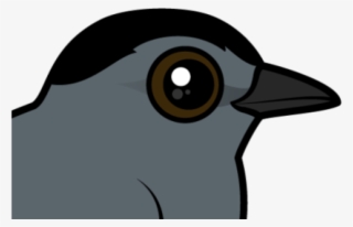 Old World Flycatcher #9057530