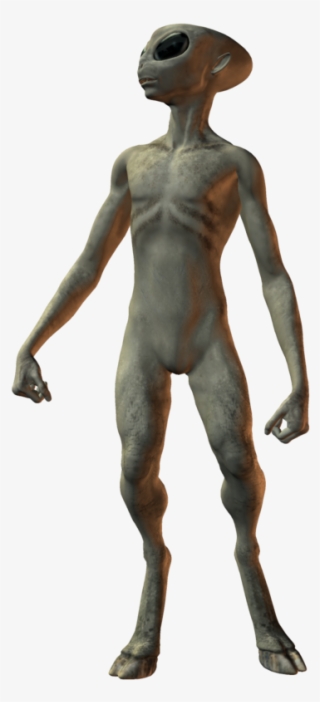800 X 817 6 - Grey Alien Transparent #9057720