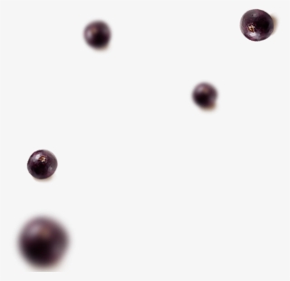 Abra Uma Franquia Kingdom Açaí - Macro Photography #9057988