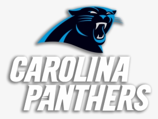 Top Roster Mvp Uniforms Stadium City Records Division - Carolina Panthers New #9058747