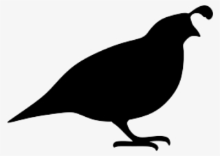 Quail Clipart Silhouette - Quail Silhouette Png #9058883