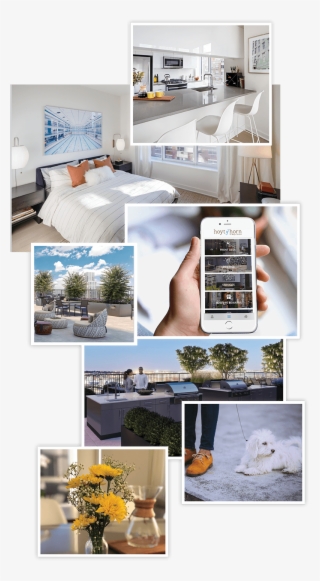 Interior Shots Of A Bedroom, Brand New Kitchen With - Bedroom #9059571