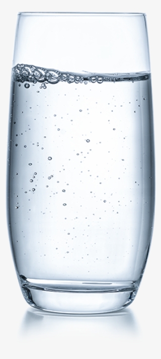 Drink Water Boire De L'eau Bere Acqua Wasser Trinken - Champagne Stemware #9060648