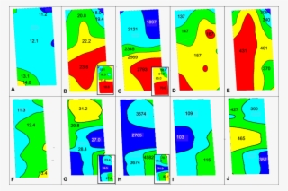 Spatial Variation In Two West Niagara Cabernet Franc - Graphic Design #9060742