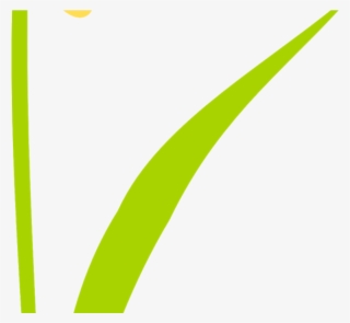 Free Scrap Flower Png Flower Scrapbooking Embellishment - Colorfulness #9060826