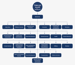 The Governor And His Executive Branch Agencies “execute” - Chart Of Executive Branch #9061234
