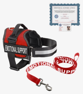 Price - Emotional Support Dog Kit #9063651