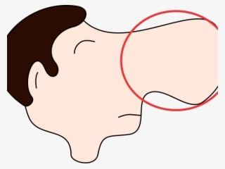 Nose Clipart Nose Smell - Big Nose Clipart #9063946