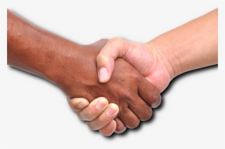 Thank You So Much For Your Interest In Joining Surfwatch - Alianza Terapeutica #9064881