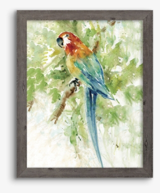 Watercolor Parrot - Watercolor Painting #9068192