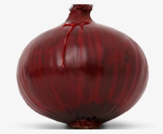 Onion Png Transparent Images - Vase #9068411
