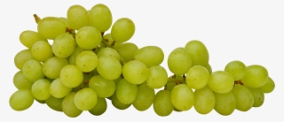 Green Grapes - Grape #9068419