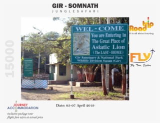 Gir Somnath Lion Safari Rajkot Junagadh - Tree #9069157