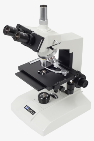 Meiji Ml5970 Trinocular Phase Contrast Microscope - Phase Contrast Compound Microscope #9069360