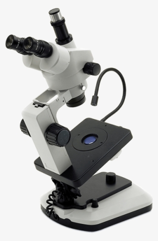 Stereo Microscope Ksw8000 Gemmology - Microscopio De Campo Oscuro #9069518