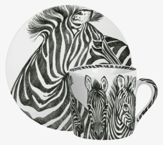 Zebra #9069717