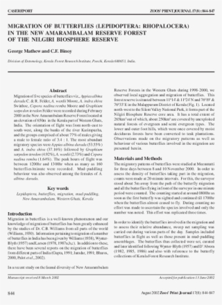 Pdf - Butterflies Of The Indian Region Wynter Blyth Free #9070807