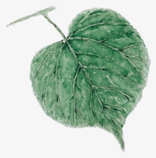 Clarifying Milk And Toner Clear, Balance And Restore - Crochet #9070948