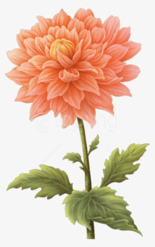 Download Dahlia Png Images Background - Dahlia Flower Png Transparent #9071095