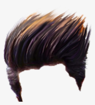 Png Hair Full Hd #9072904
