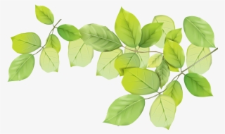 Leaf Png #9074016