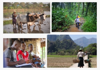 Essentials Montage - Field #9075154