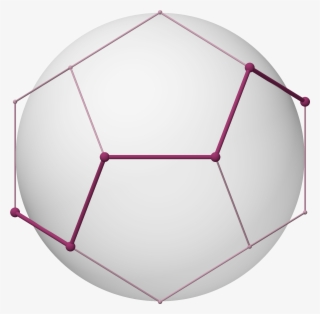 Skeleton 12, Petrie, Stick, Size L, 2-fold - Lampshade #9076500