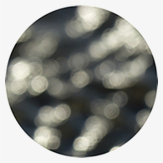 Blind - Circle #9076790
