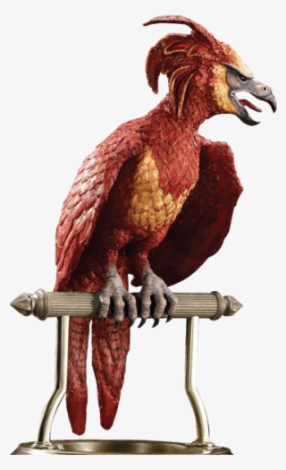 Phoenix Bird Harry Potter - Phönix Harry Potter Fawkes #9077733