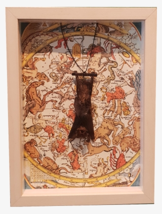 Hanging Bat Astrology Collage Frame - Picture Frame #9078139
