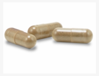 Cbd Capsules 10mg (5-pack) - Prescription Drug #9078373