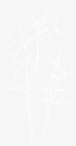 Cambridge Flower Arranging Workshop - Spotify White Logo Png #9079127