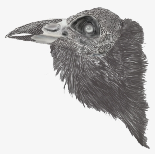 Journal Of A Mid Twenties Illustrator - Great Grey Owl #9080295