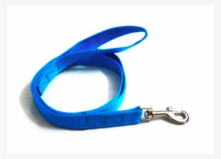 Nylon Dog Leash - Strap #9082165