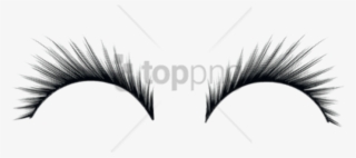 Free Png Download Eyelashes Png Images Background Png - False Lashes Png #9082509