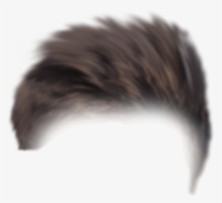 Cb Hair Png Picsart 3d Creative Editing Background - Porcupine #9082837 Cb Hair Png Picsart 3d Creative Editing Background - Porcupine #9082837