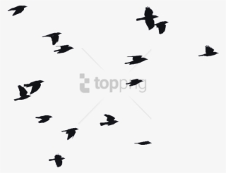 Free Png Birds Flying Silhouette Png Image With Transparent - Transparent Bird Fly Png #9082992