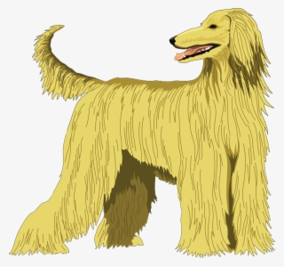 Hound Clipart Angry - Afghan Hound Clipart #9083260